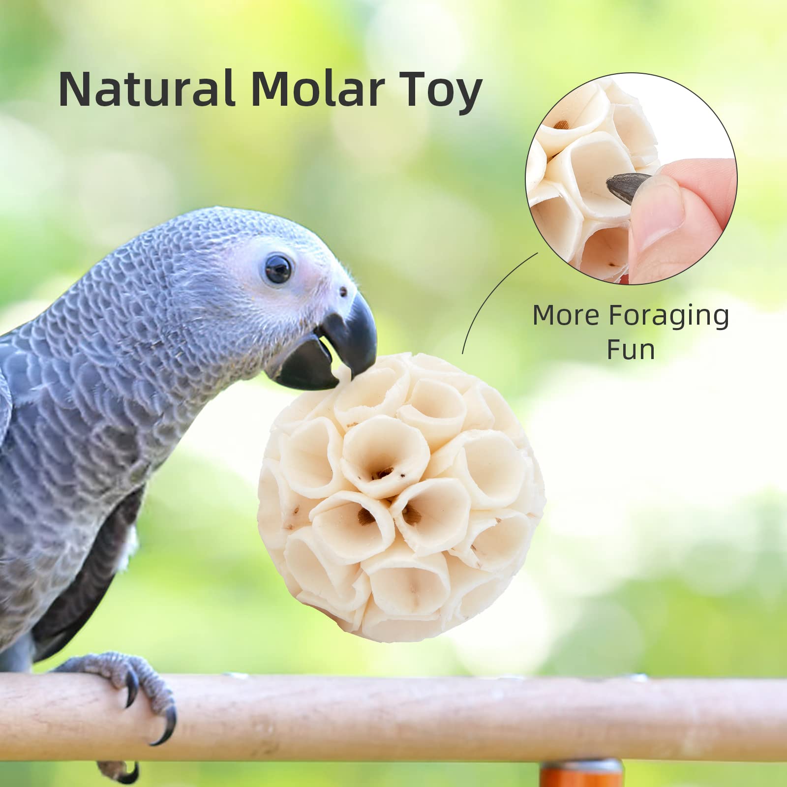 Andwe Bird Toy Sola Balls - Natural Soft Chew Shredding & Foraging Toy For Cockatiel Conure Quaker Parrot Budgie Parakeet Rabbit